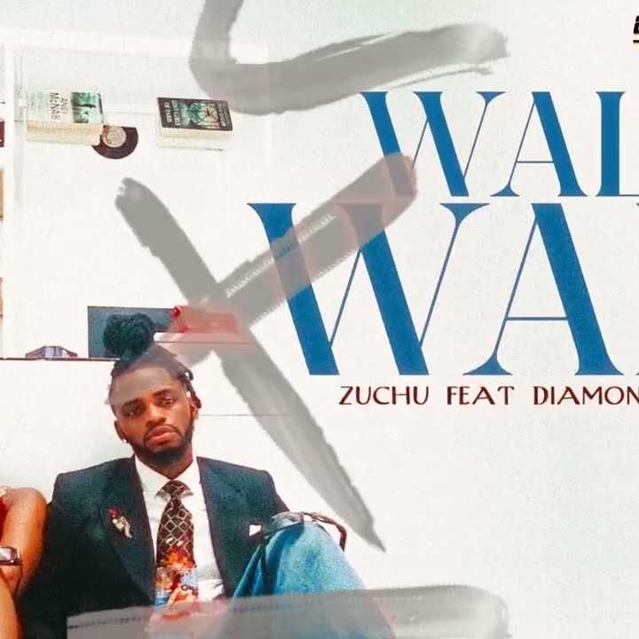 Wale Wale cover art