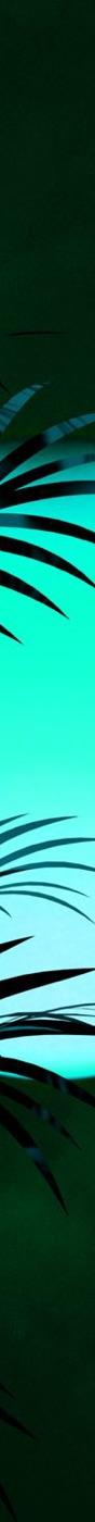 Flames (Robin Schulz Remix)