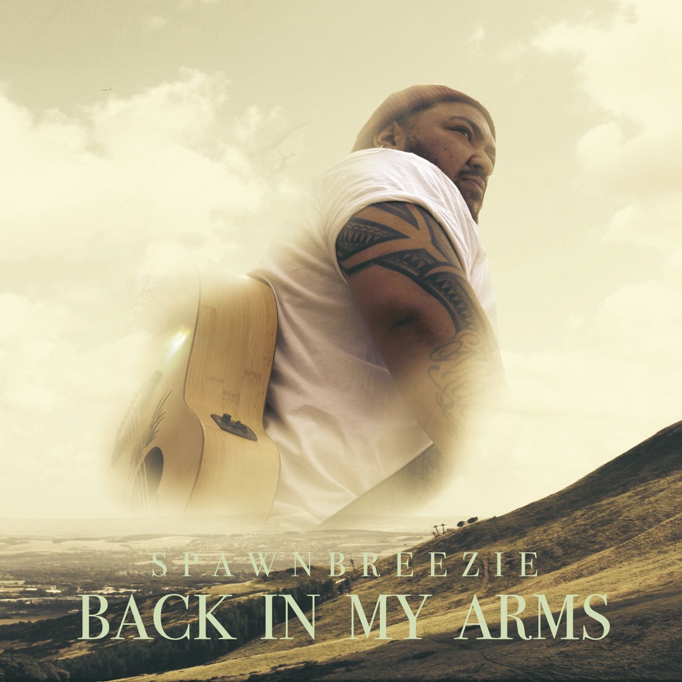 Back in My Arms cover art