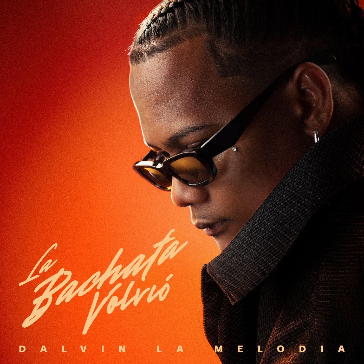 Alma Rota cover art