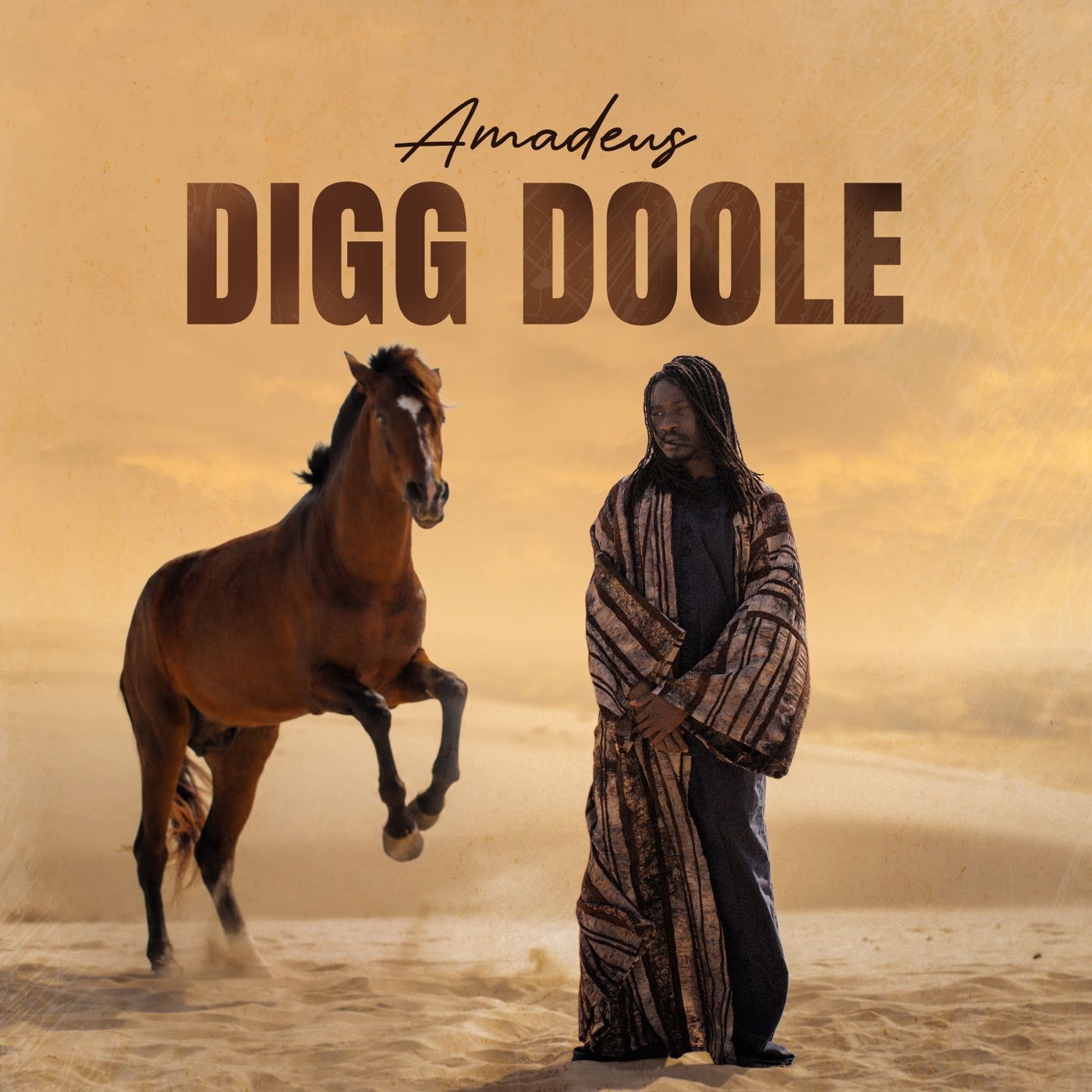 Digg Doole cover art
