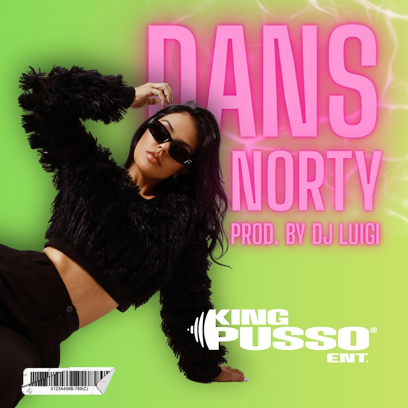 Dans Norty cover art