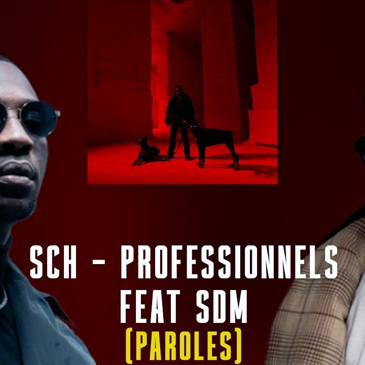 Professionnels cover art