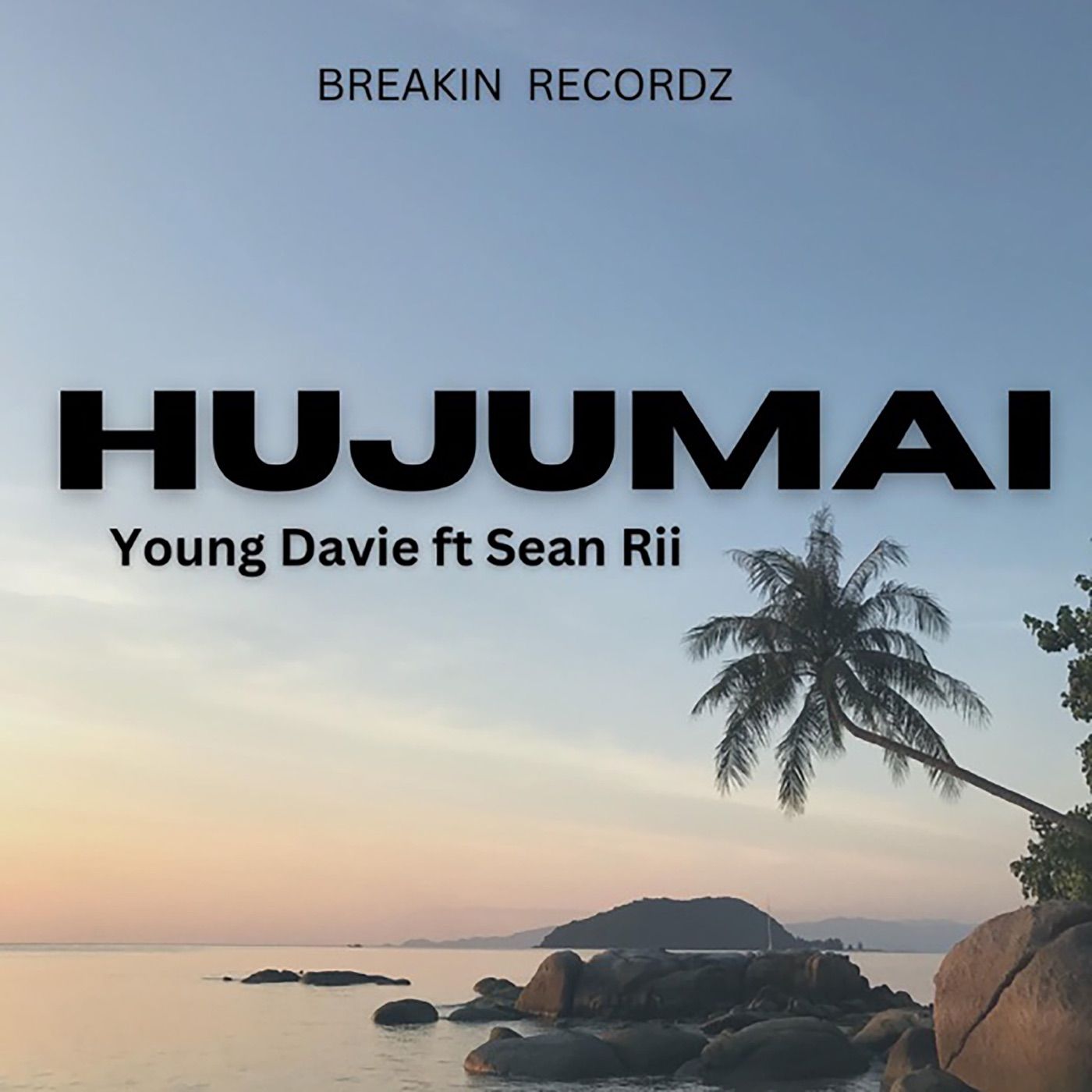 Huju Mai cover art