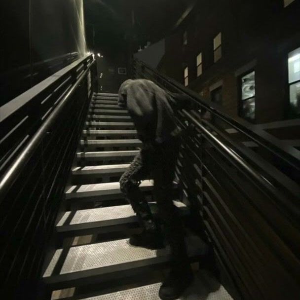 Lifeless cover art