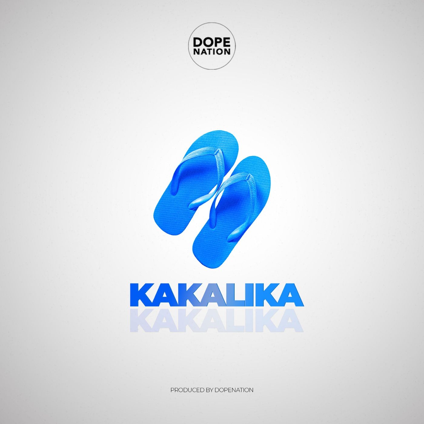 Kakalika cover art