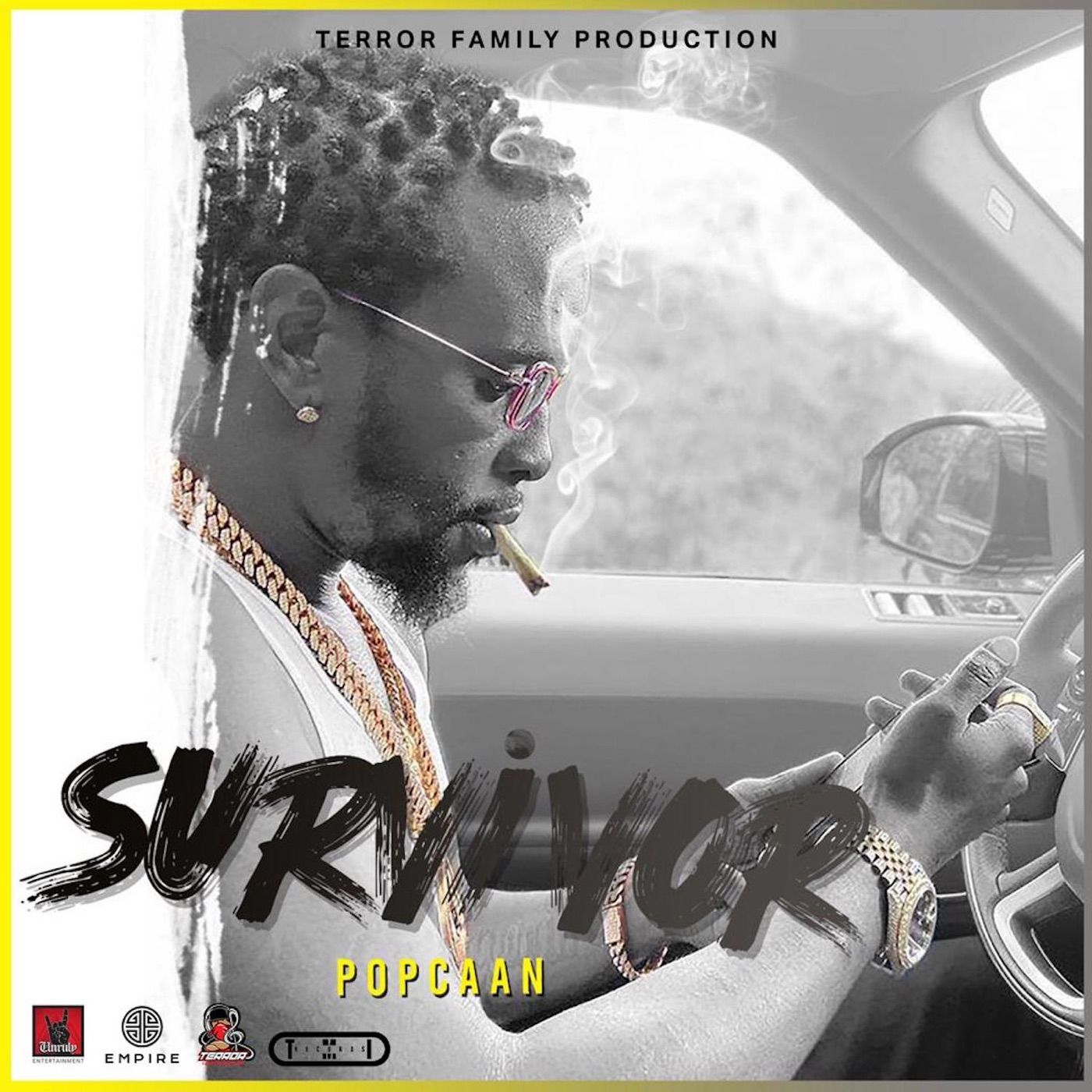 Survivor cover art