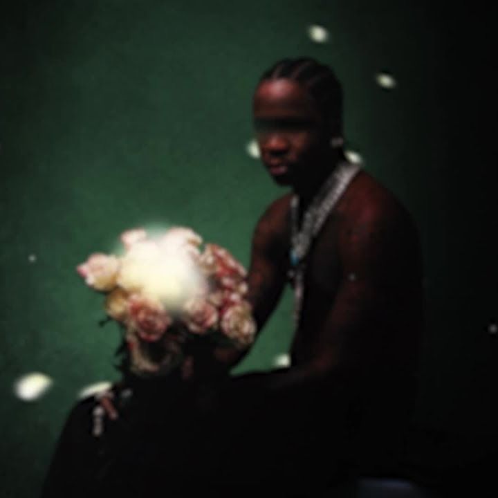 Shy cover art