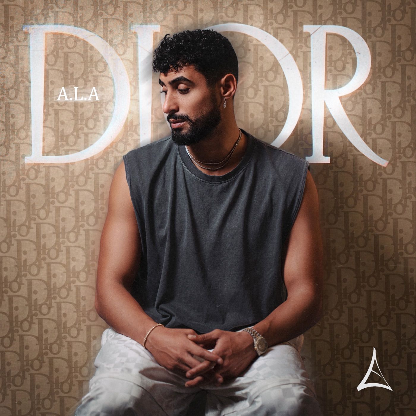 DIOR cover art