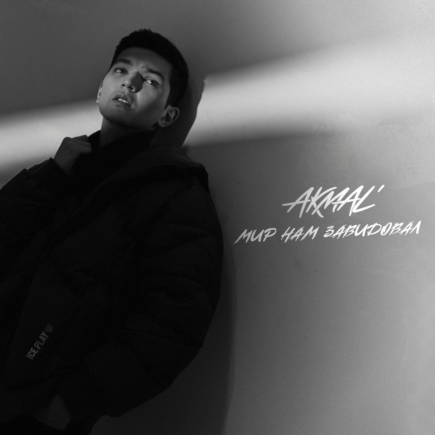 Мир нам завидовал cover art