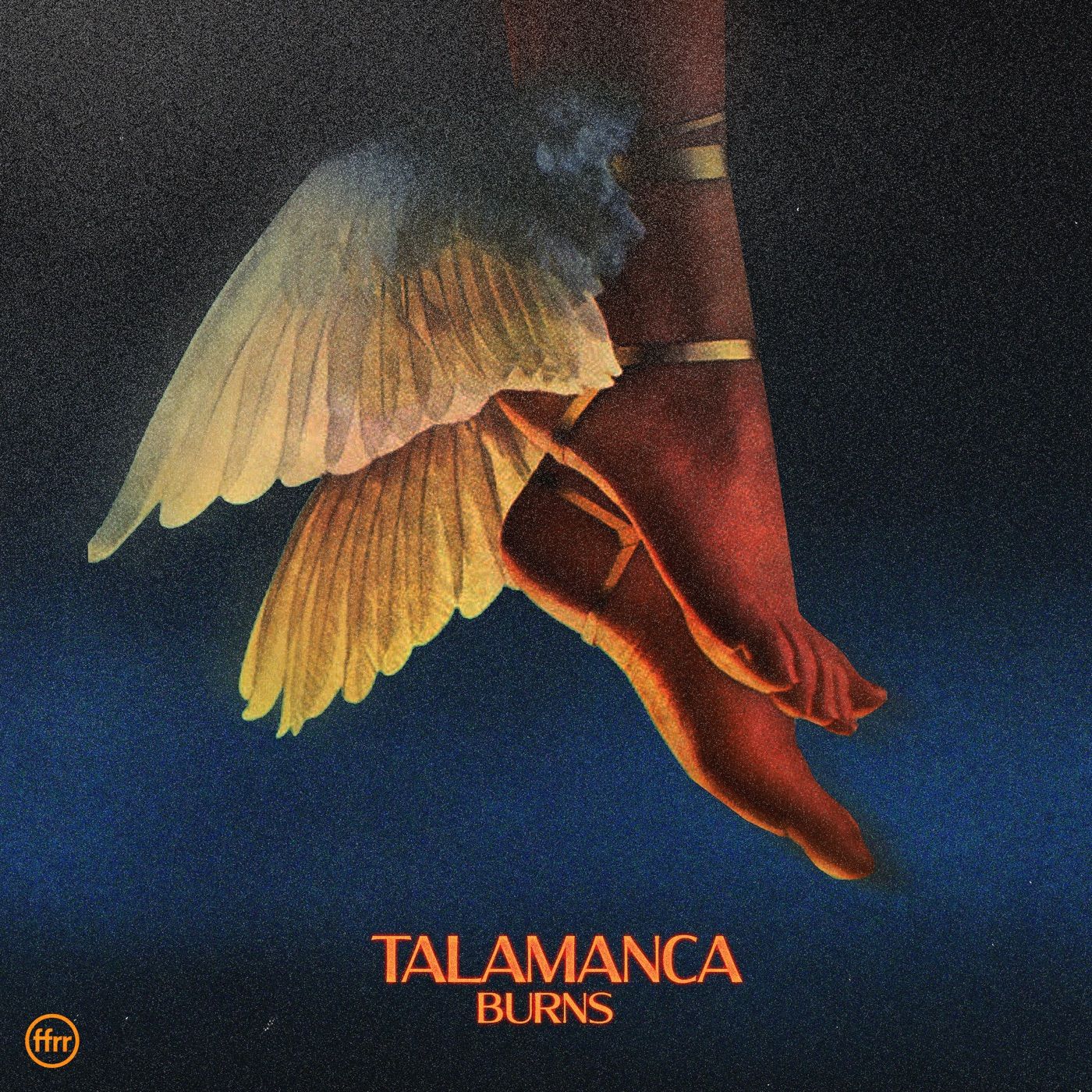 Talamanca cover art
