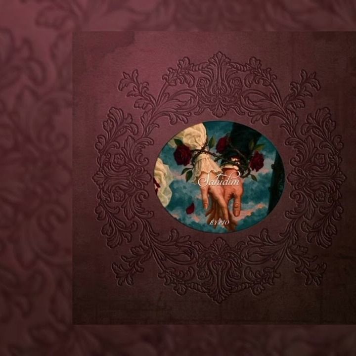 Şahidim cover art