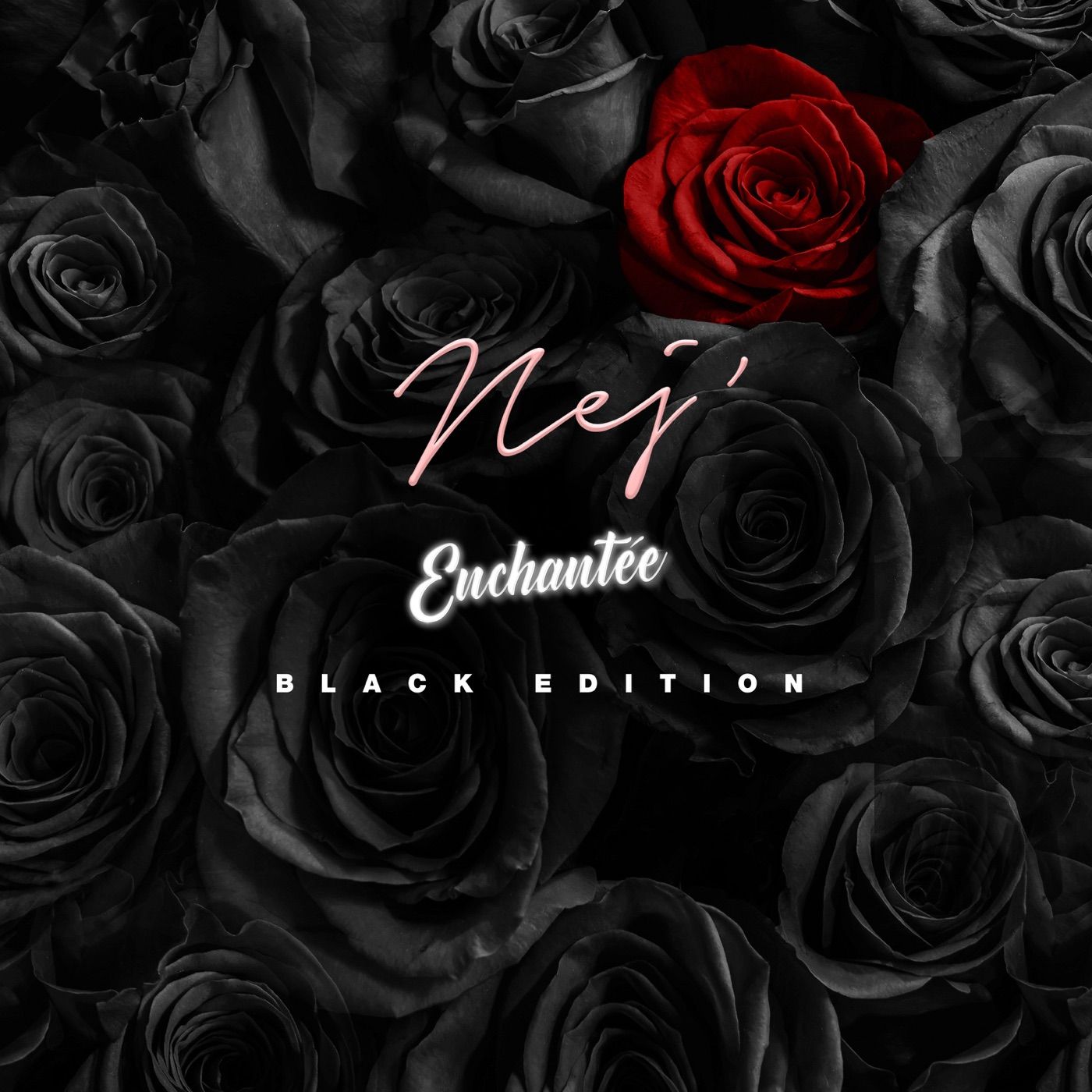 Indomptable cover art