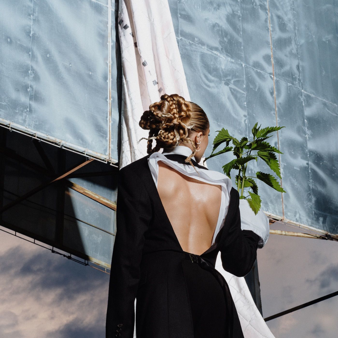 Žvėris cover art