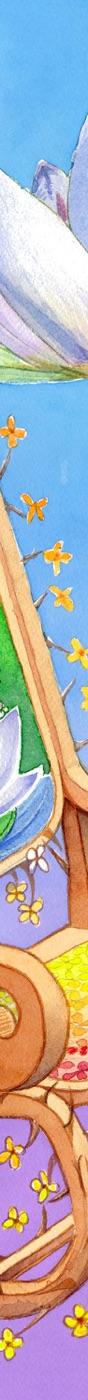PARADIXE
